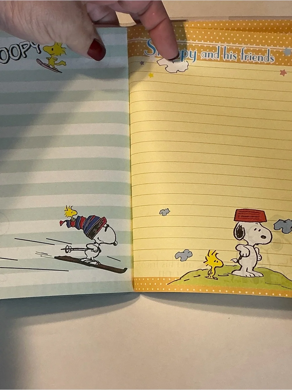 Snoopy Peanuts gang Vinyl cover A5 Notebook Journal 50 colorful pages